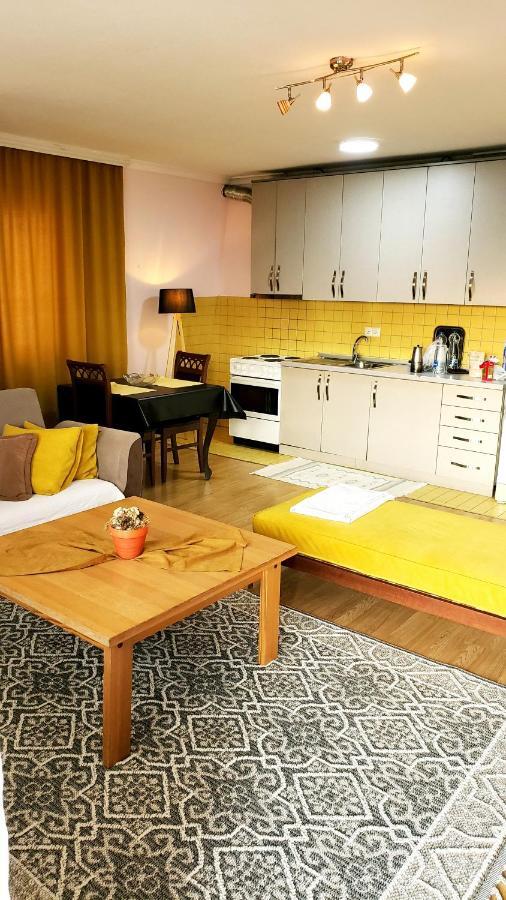 פרישטינה Spacious Downtown Apartment With A City View מראה חיצוני תמונה