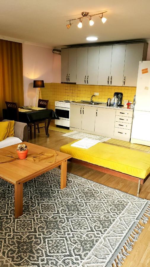 פרישטינה Spacious Downtown Apartment With A City View מראה חיצוני תמונה