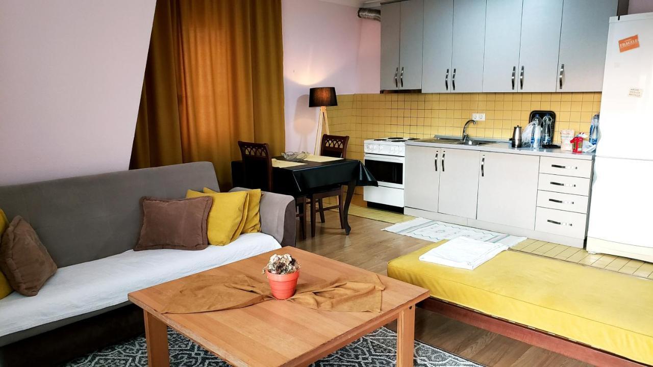 פרישטינה Spacious Downtown Apartment With A City View מראה חיצוני תמונה